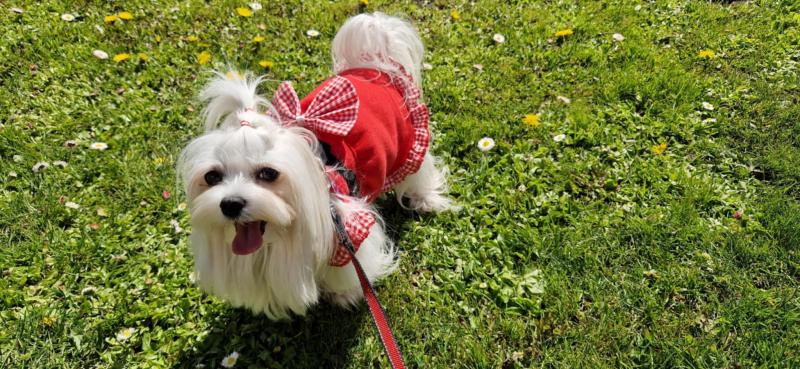 Ulvi2016 uploaded   353  day/s  ago