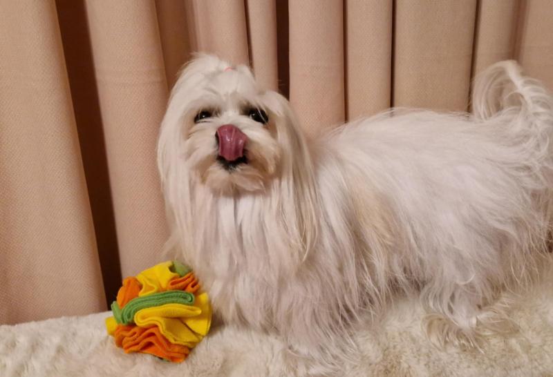 Ulvi2016 uploaded   362  day/s  ago