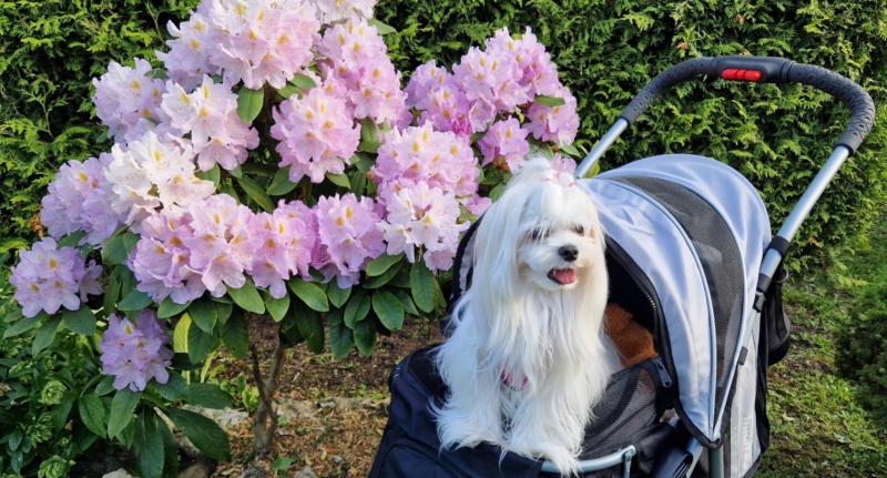 Ulvi2016 uploaded   316  day/s  ago