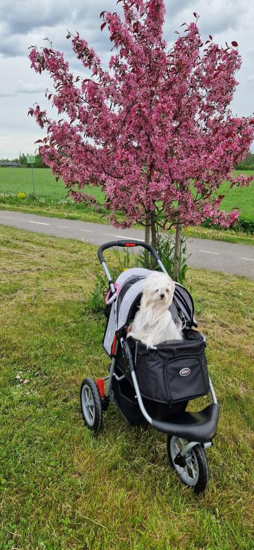 Ulvi2016 uploaded   330  day/s  ago