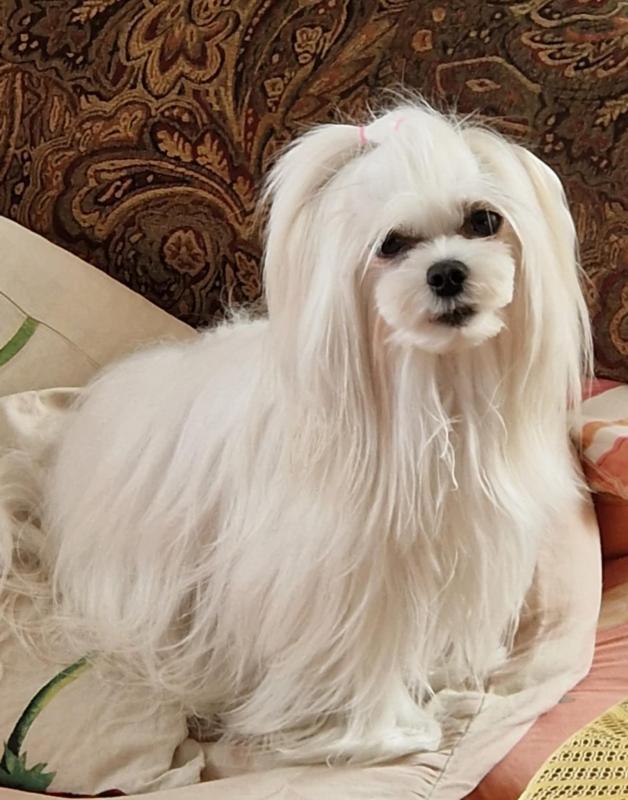 Ulvi2016 uploaded   323  day/s  ago