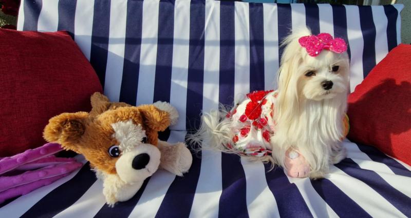 Ulvi2016 uploaded   300  day/s  ago