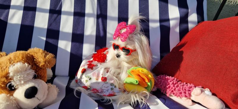 Ulvi2016 uploaded   300  day/s  ago