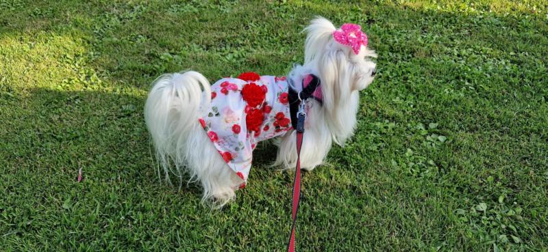 Ulvi2016 uploaded   300  day/s  ago