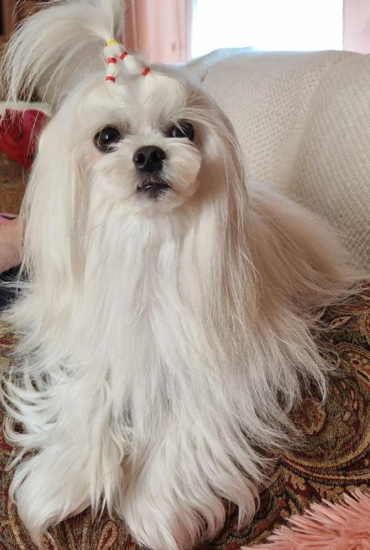 Ulvi2016 uploaded   274  day/s  ago