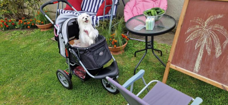 Ulvi2016 uploaded   254  day/s  ago