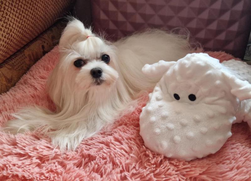 Ulvi2016 uploaded   242  day/s  ago