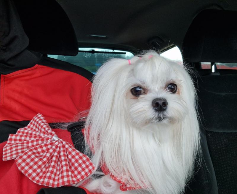 Ulvi2016 uploaded   242  day/s  ago