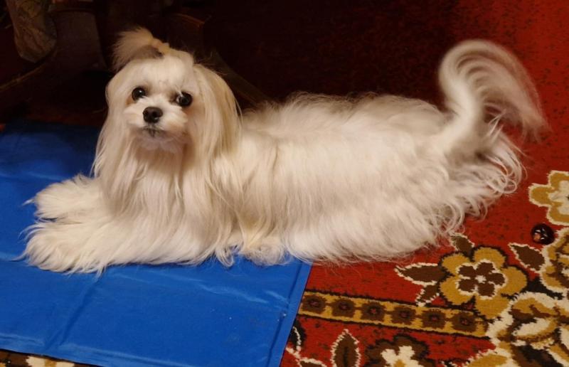 Ulvi2016 uploaded   268  day/s  ago