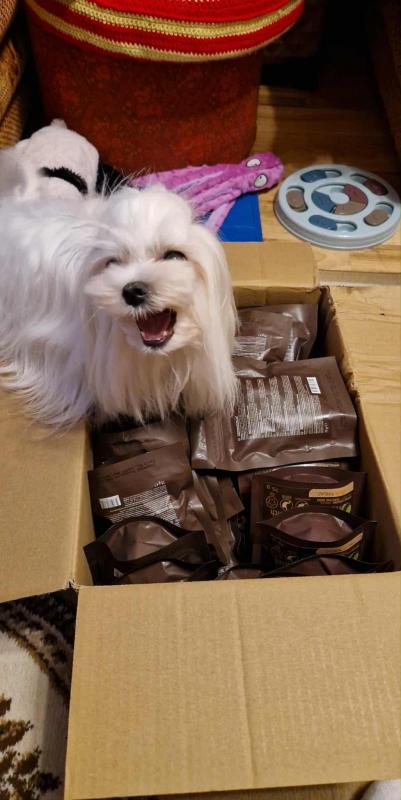 Ulvi2016 uploaded   223  day/s  ago