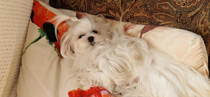 Ulvi2016 uploaded   223  day/s  ago