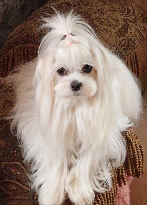 Ulvi2016 uploaded   234  day/s  ago