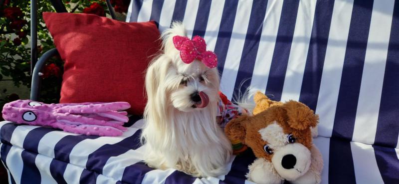 Ulvi2016 uploaded   300  day/s  ago