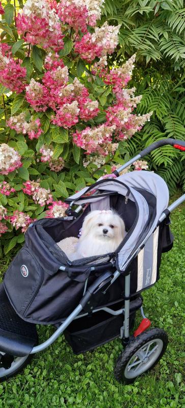 Ulvi2016 uploaded   241  day/s  ago