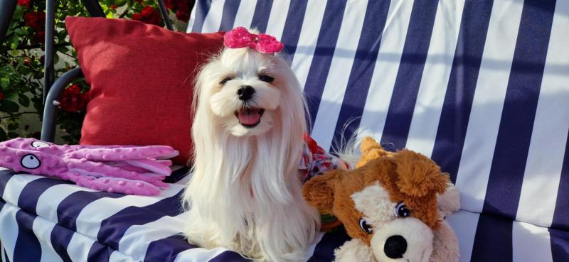 Ulvi2016 uploaded   300  day/s  ago