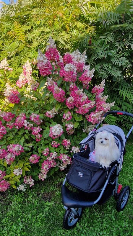 Ulvi2016 uploaded   241  day/s  ago