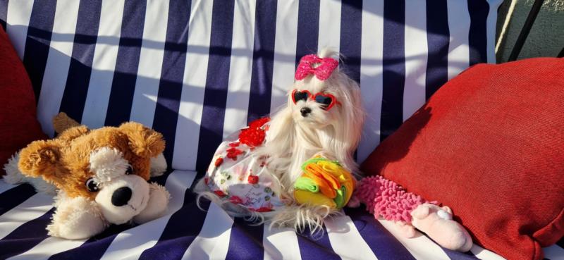 Ulvi2016 uploaded   300  day/s  ago