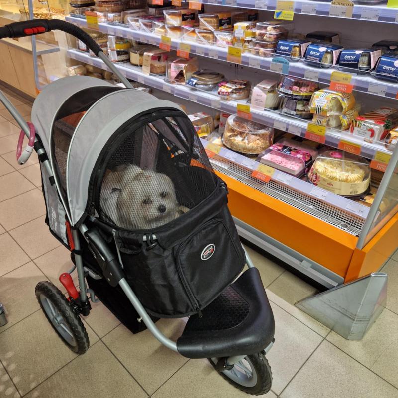 Ulvi2016 uploaded   1 year/s ago