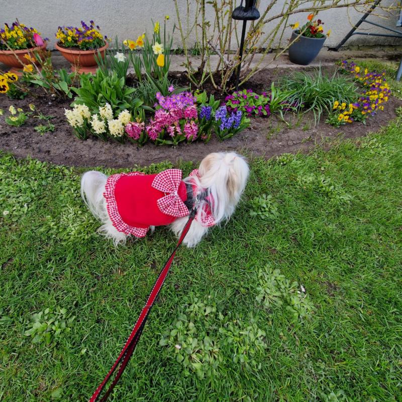 Ulvi2016 uploaded   362  day/s  ago