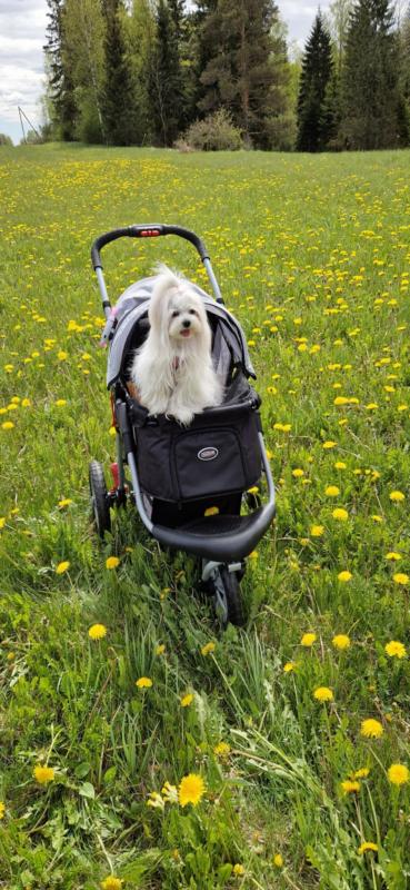 Ulvi2016 uploaded   340  day/s  ago