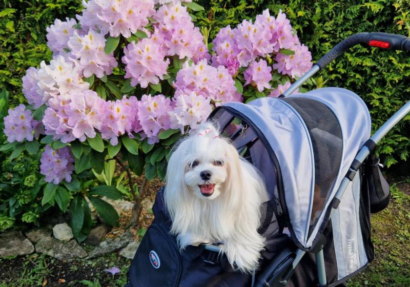 Ulvi2016 uploaded   316  day/s  ago