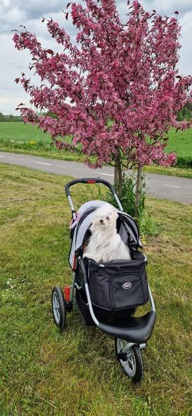 Ulvi2016 uploaded   330  day/s  ago