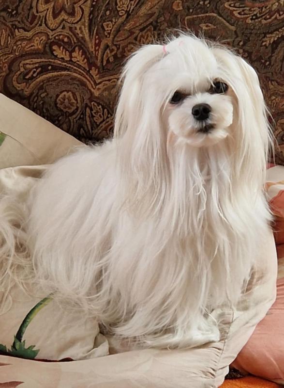 Ulvi2016 uploaded   323  day/s  ago