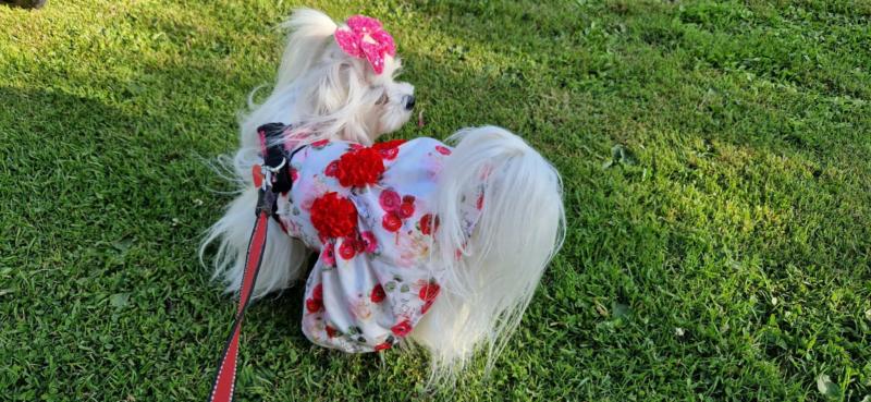 Ulvi2016 uploaded   300  day/s  ago