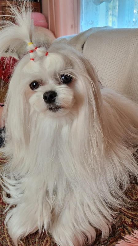 Ulvi2016 uploaded   274  day/s  ago