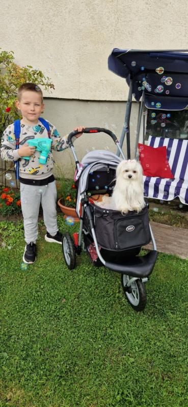 Ulvi2016 uploaded   254  day/s  ago