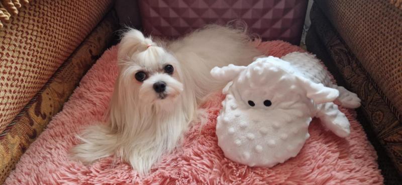 Ulvi2016 uploaded   242  day/s  ago