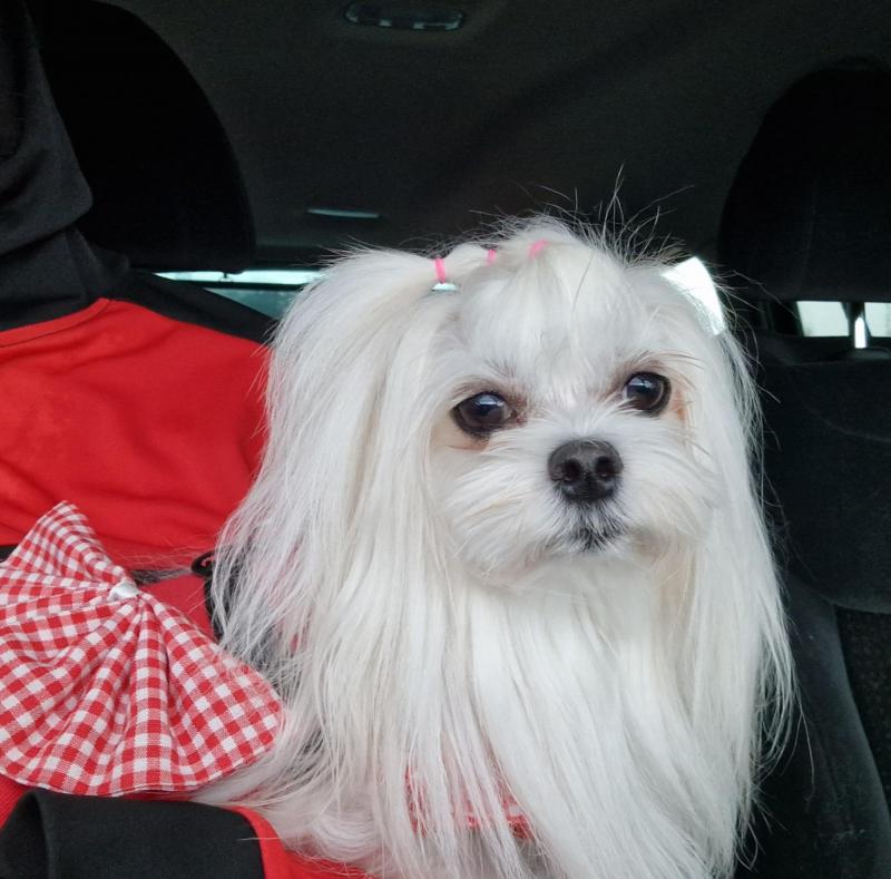 Ulvi2016 uploaded   242  day/s  ago