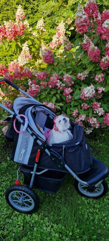 Ulvi2016 uploaded   241  day/s  ago