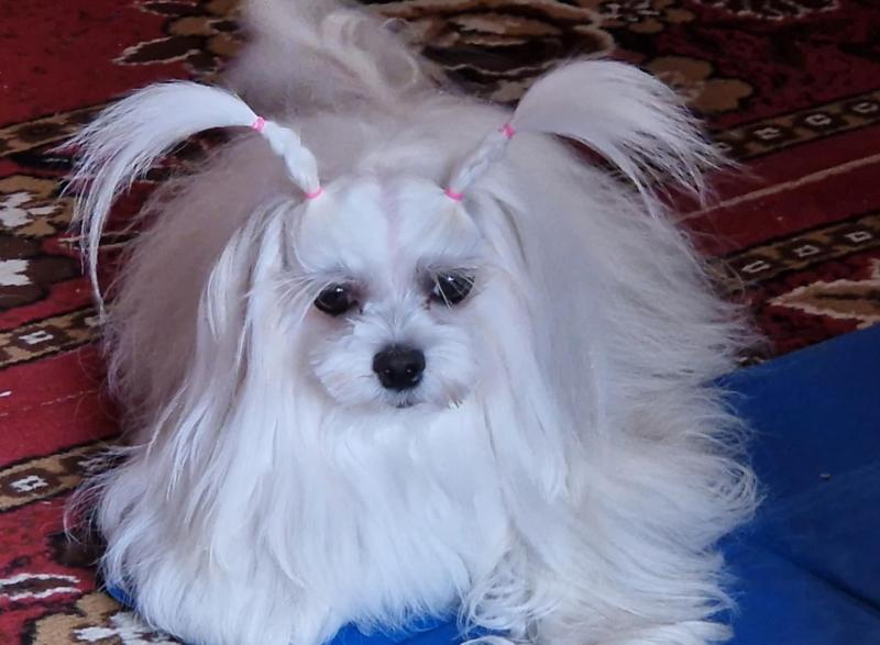 Ulvi2016 uploaded   268  day/s  ago