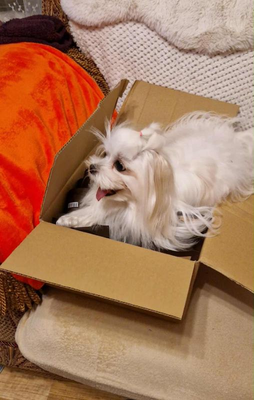 Ulvi2016 uploaded   223  day/s  ago