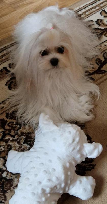 Ulvi2016 uploaded   223  day/s  ago