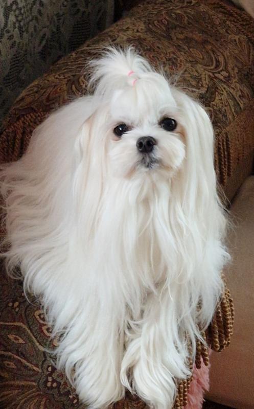 Ulvi2016 uploaded   234  day/s  ago