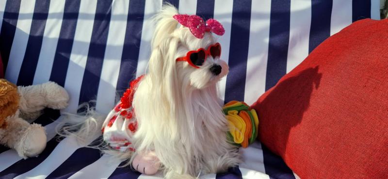 Ulvi2016 uploaded   300  day/s  ago