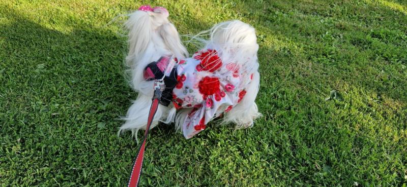 Ulvi2016 uploaded   300  day/s  ago