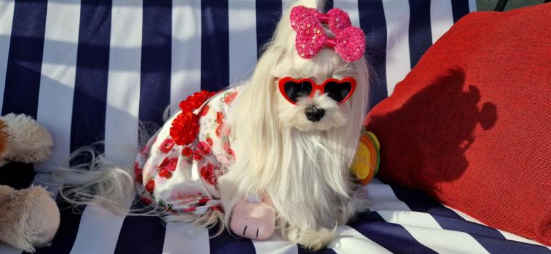 Ulvi2016 uploaded   300  day/s  ago