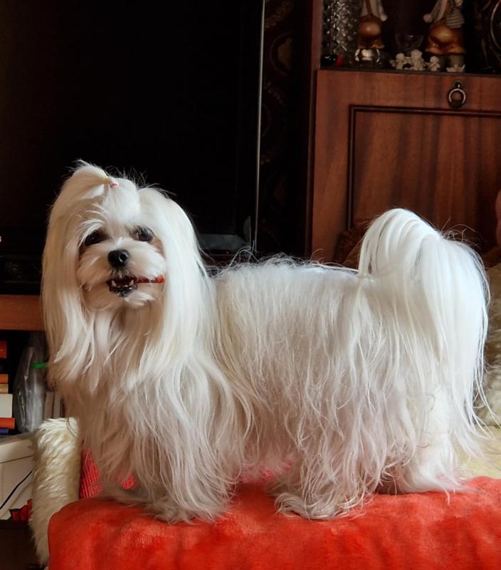 Ulvi2016 uploaded   1 year/s ago