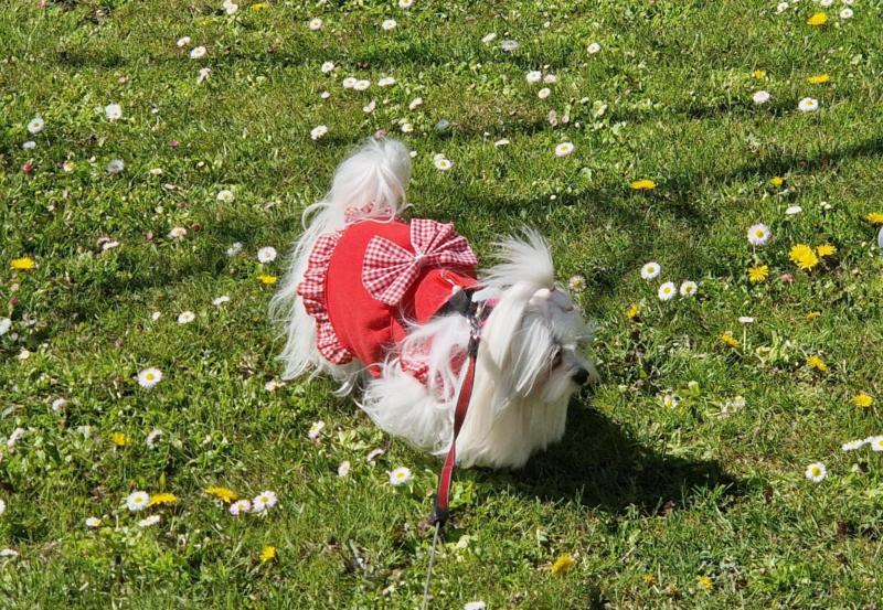 Ulvi2016 uploaded   353  day/s  ago