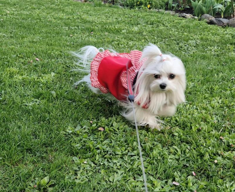 Ulvi2016 uploaded   362  day/s  ago