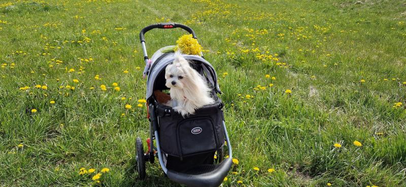 Ulvi2016 uploaded   340  day/s  ago