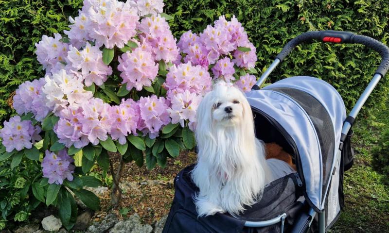 Ulvi2016 uploaded   316  day/s  ago