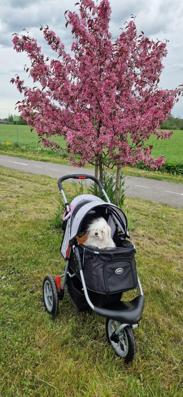 Ulvi2016 uploaded   330  day/s  ago