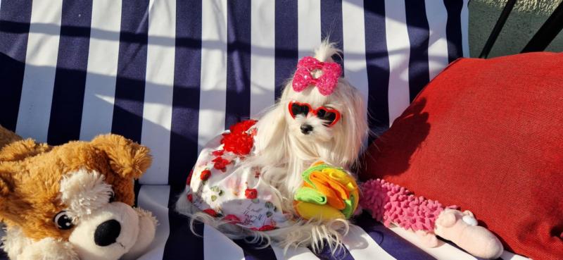 Ulvi2016 uploaded   300  day/s  ago