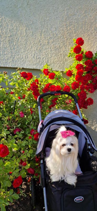 Ulvi2016 uploaded   300  day/s  ago