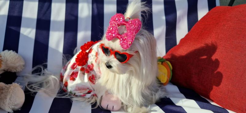 Ulvi2016 uploaded   300  day/s  ago