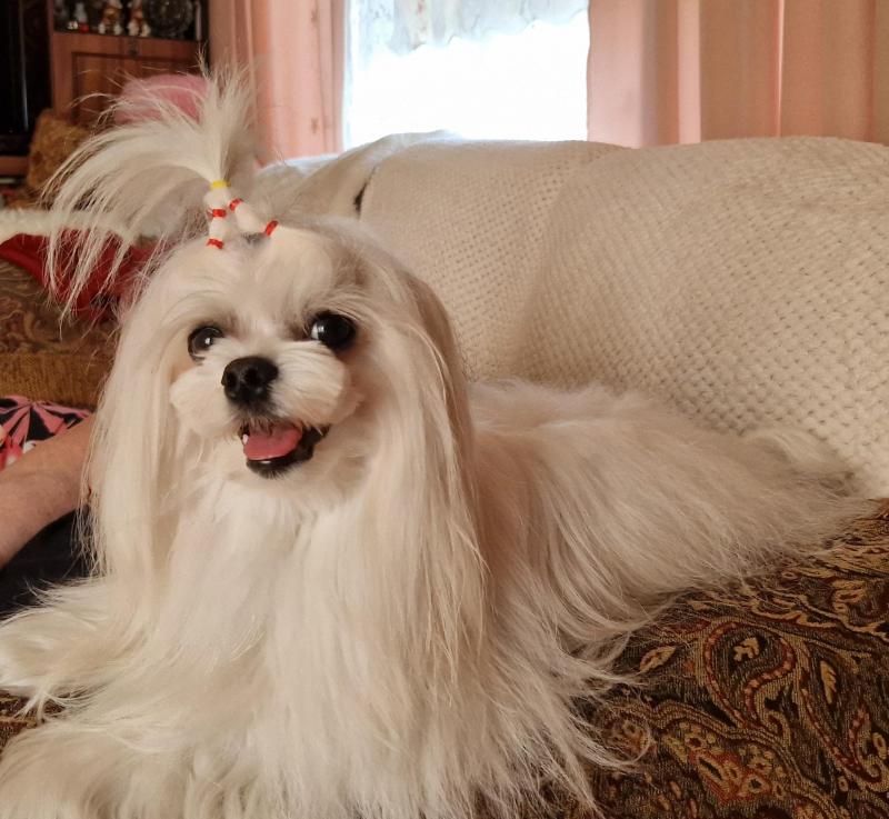 Ulvi2016 uploaded   274  day/s  ago